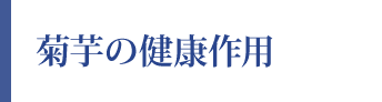 菊芋の健康作用